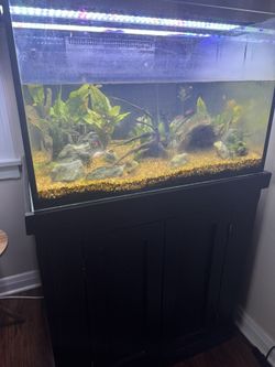 65 Gallon Cube With Sump Fish Tank