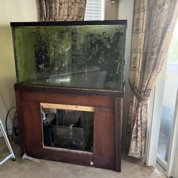 Fish Tank 