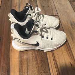 LeBron Witness 5 Basketball Shoes