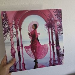 Nicki Minaj - Pink Friday 2 Vinyl *Pink*