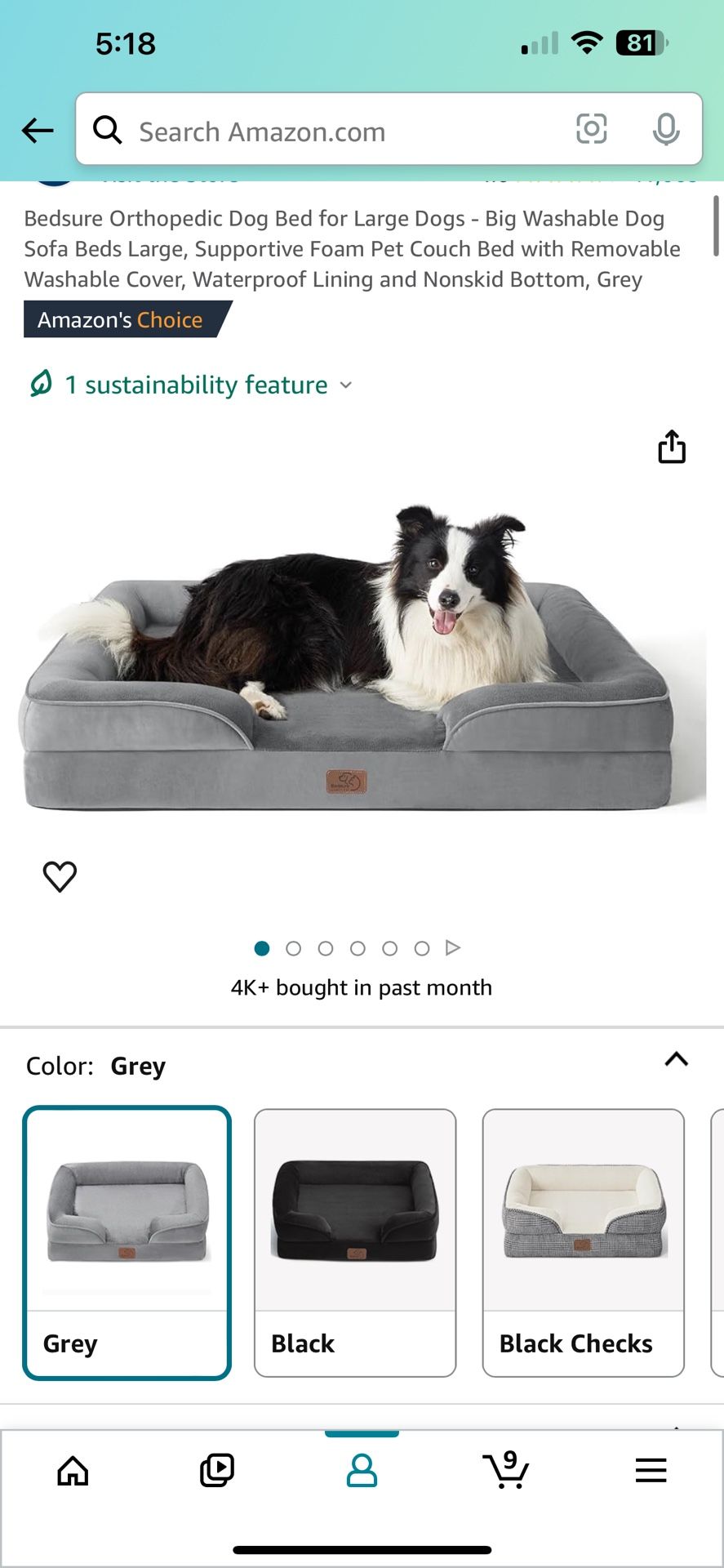 Orthopedic Dog Bed