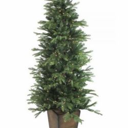 Northlight 6ft Pre-lit Potted Oregon Noble Slim Artificial Christmas Tree Clear Led Lights