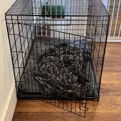 Amazon Basics Portable, Foldable Metal Wire Dog Crate with Removable Tray, Divider Panel, Easy to Assemble, for Large Dogs, 48 x 30 x 32.5 in, Black