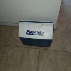 Playmate Cooler 