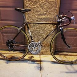 Original 1972 Chestnut Brown Schwinn Varsity 51cm 10 Speed Road Bike