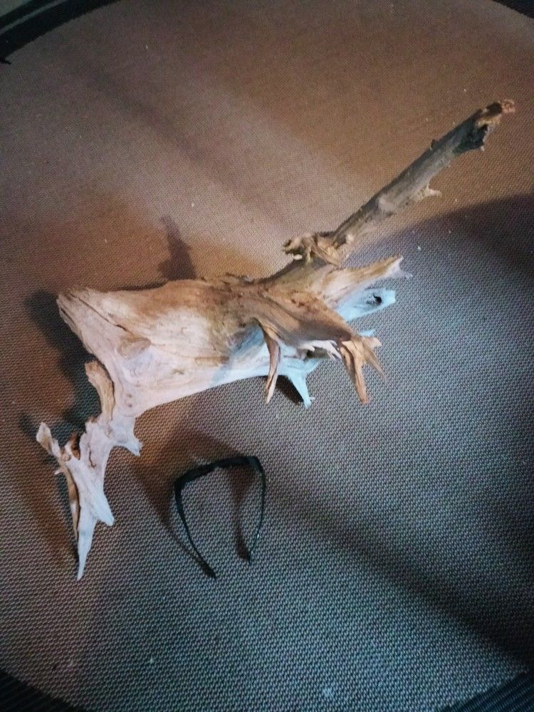 Driftwood 