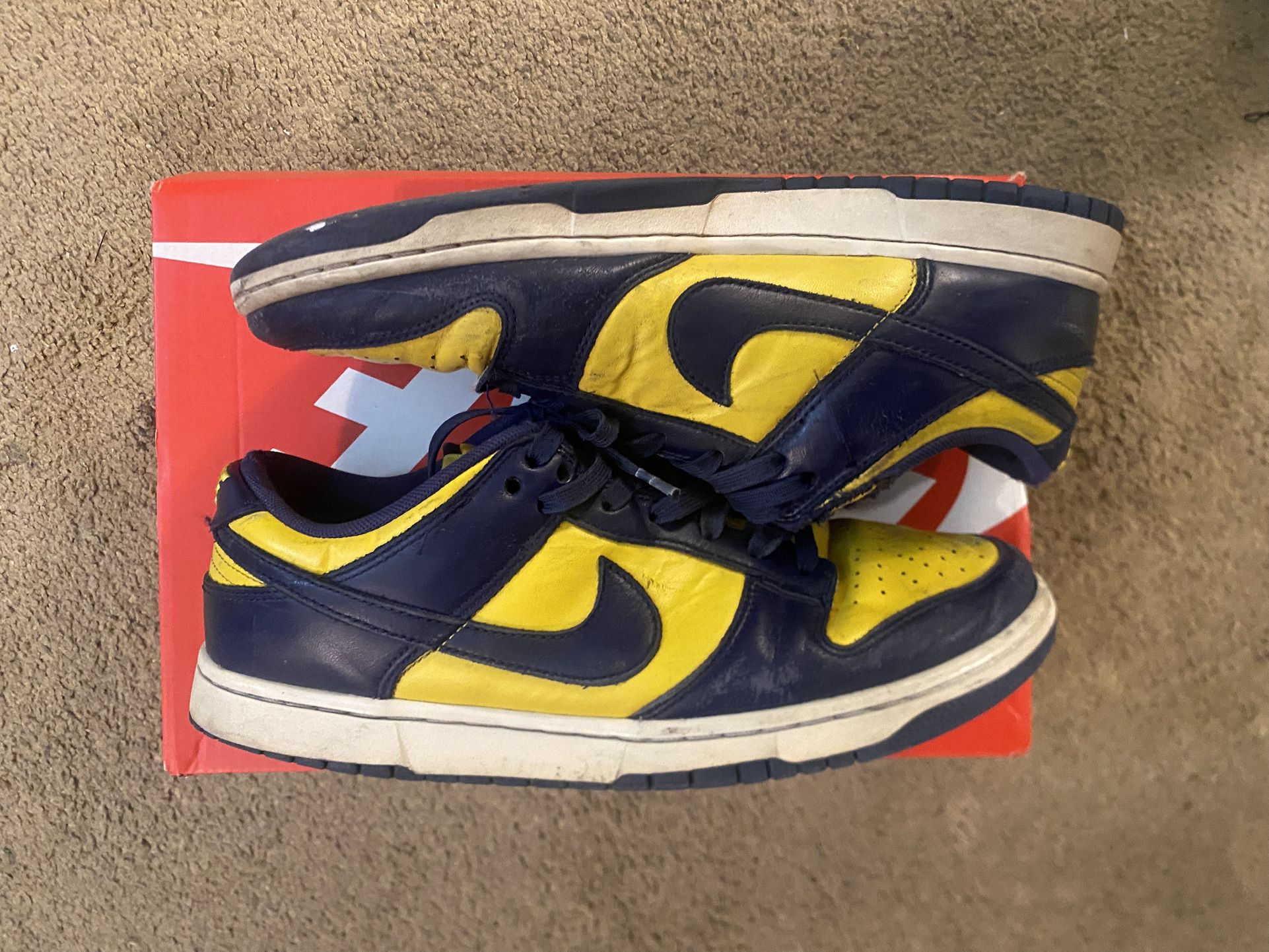 Michigan Dunks 
