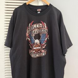 Harley Davidson Buffalo New York T-shirt 