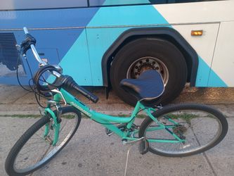 Nishiki Tamarack and an Avalon 