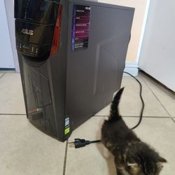 Gaming PC, Cat Not Included