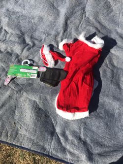Santa dog