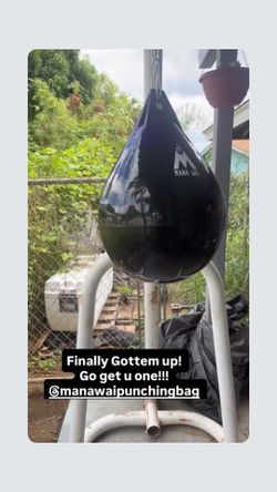 Punching Bag