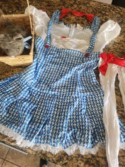 Dorothy Wizard of Oz Halloween Costume