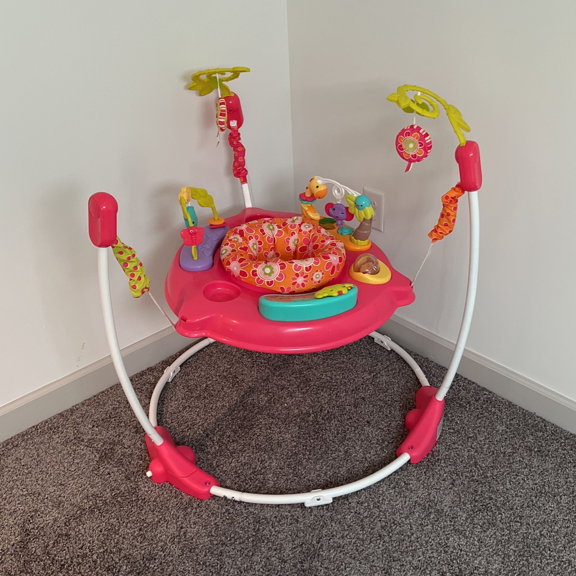 Baby Bouncer