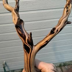 Different Types Of Wood Treated For Fish Tank Or Reptile Manzanita Also