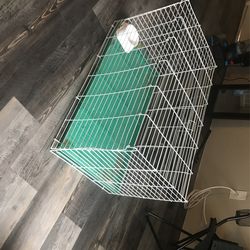 Bunny Cage 