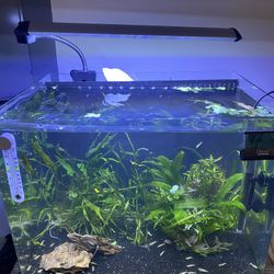 18 Gallon Freshwater Fish Tank 