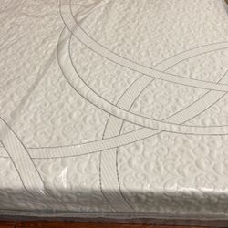 Memory Foam 12” Inches