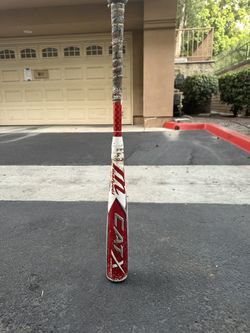 Cat X Connect -5 31inch