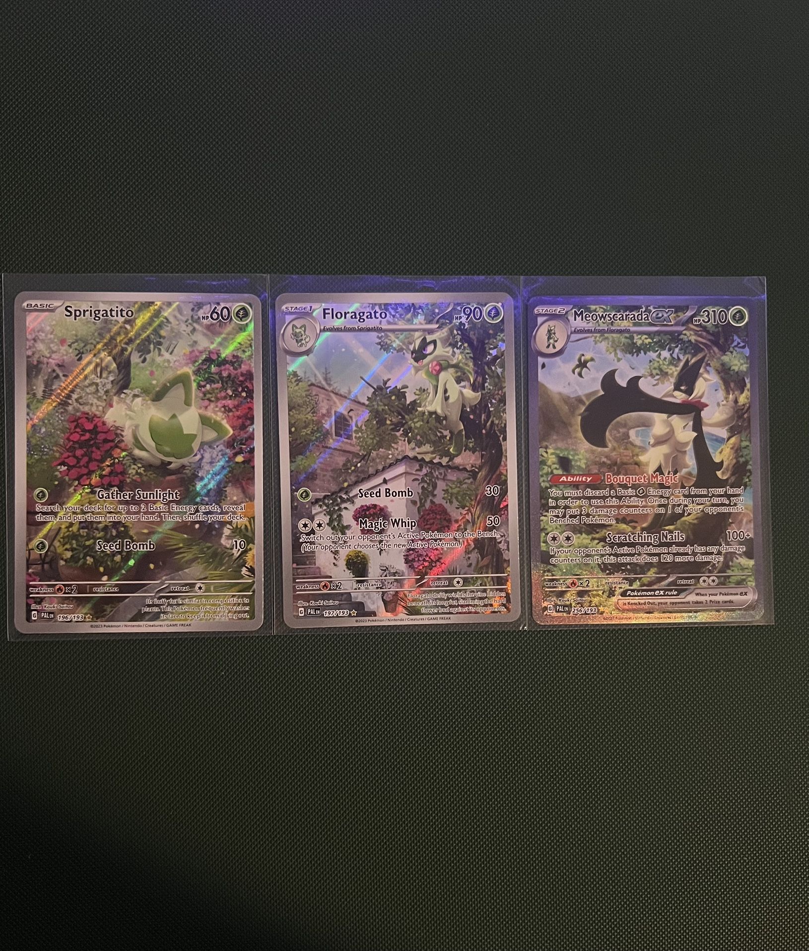 Pokemon PE Meowscarada Evolution Line