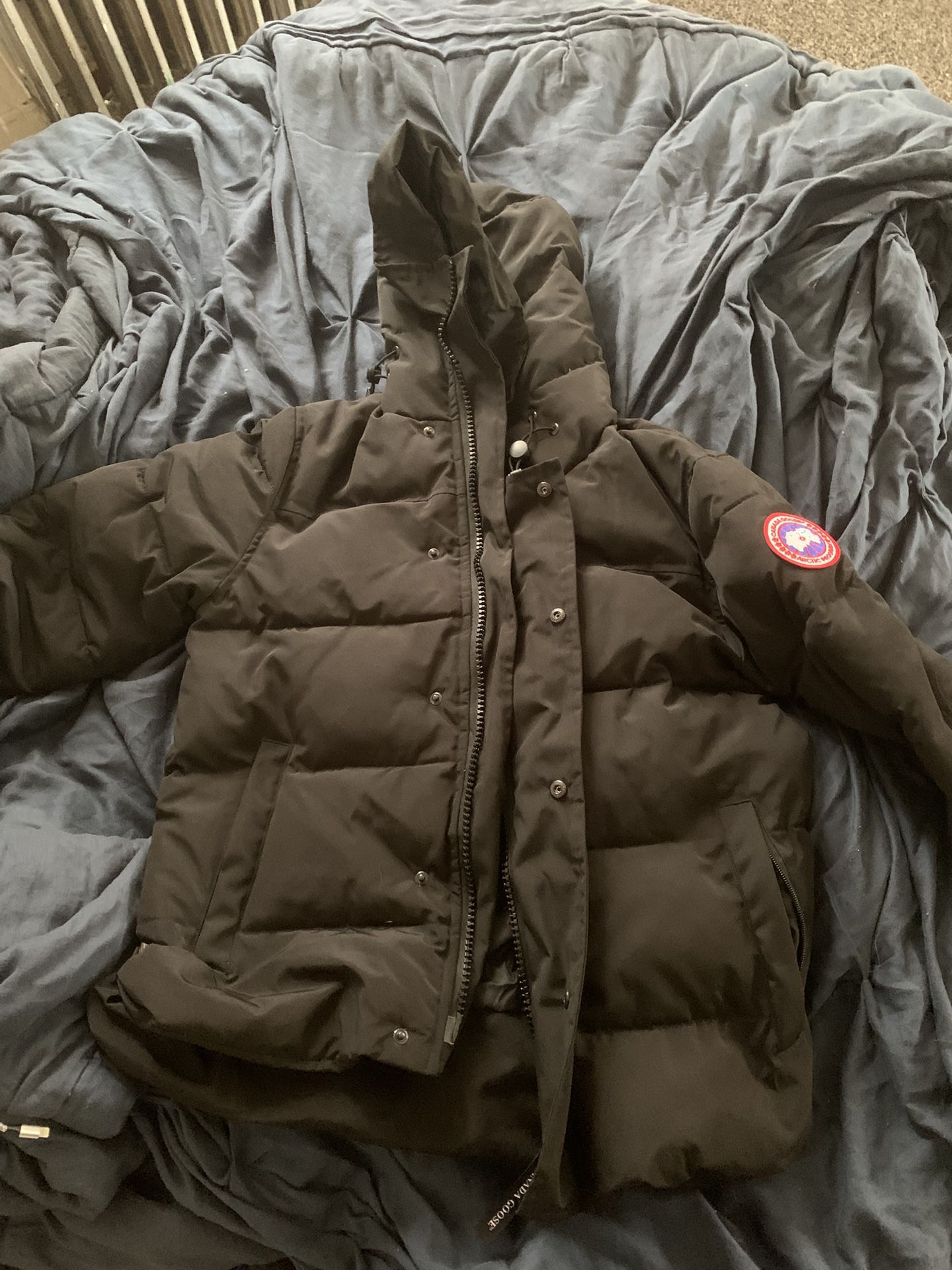 Canada Goose