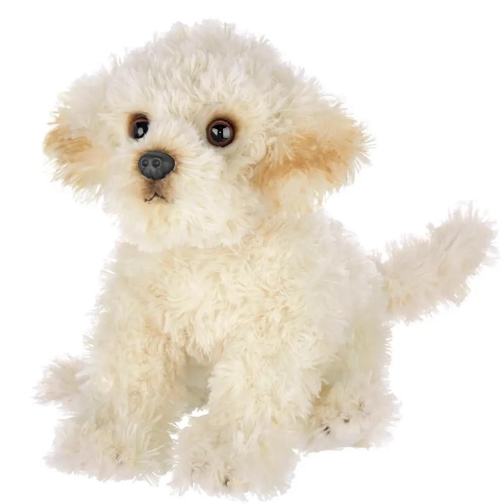 Doodles The Labradoodle