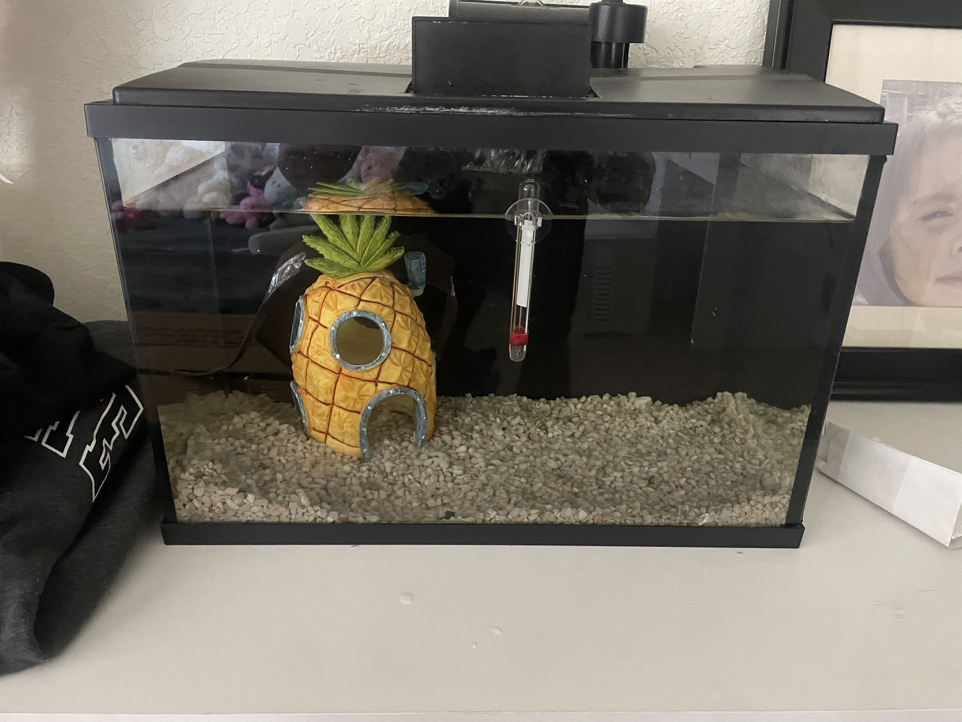 SELLING 5 GAL and glofish and some others