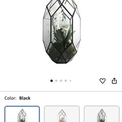  Large Glass Geometrical Terrarium for Plants Flower Succulents - Modern Planter for Indoor Gardening (Color : Black)