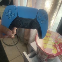 Ps5 Controller 
