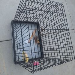 Bird CageBeautiful metal bird cage.  Dimensions are 20 x 15 x. 22.  Only 20 $   i live in mira mesa 92126