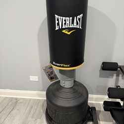 Boxing Bag with water base.