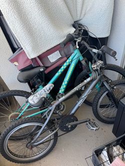 Shimano & Diamond back bike