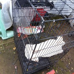 5 Foot Cat Kennel 3 Lawyer 