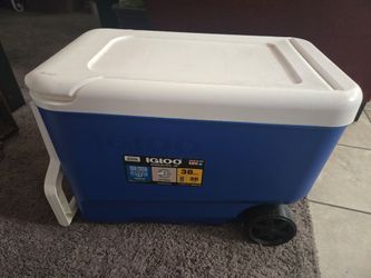 Ice chest
