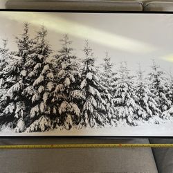 Picture Of Winter Forest