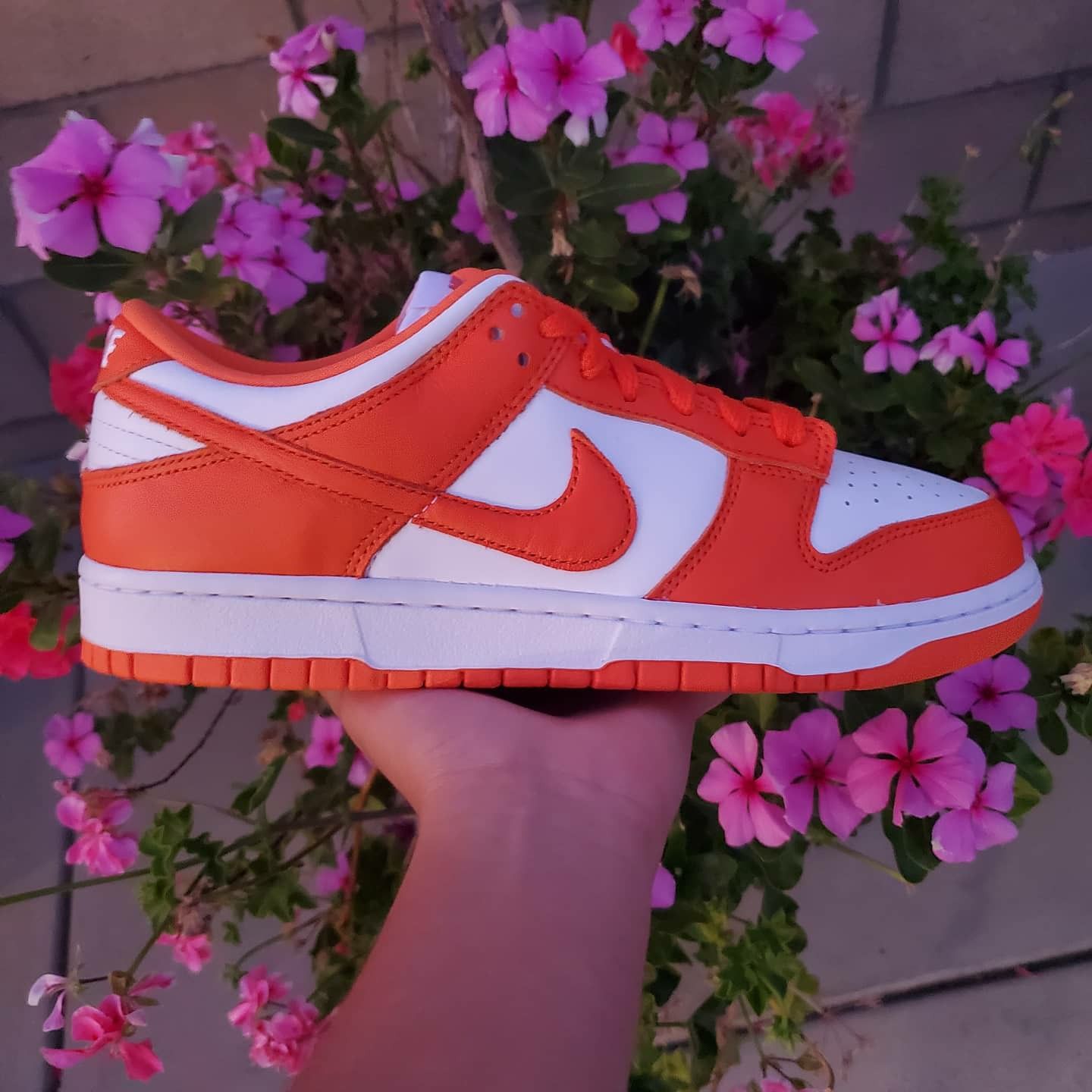 Nike sb dunk syracuse