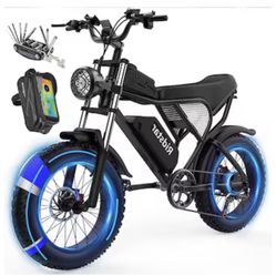 Electric Bike 