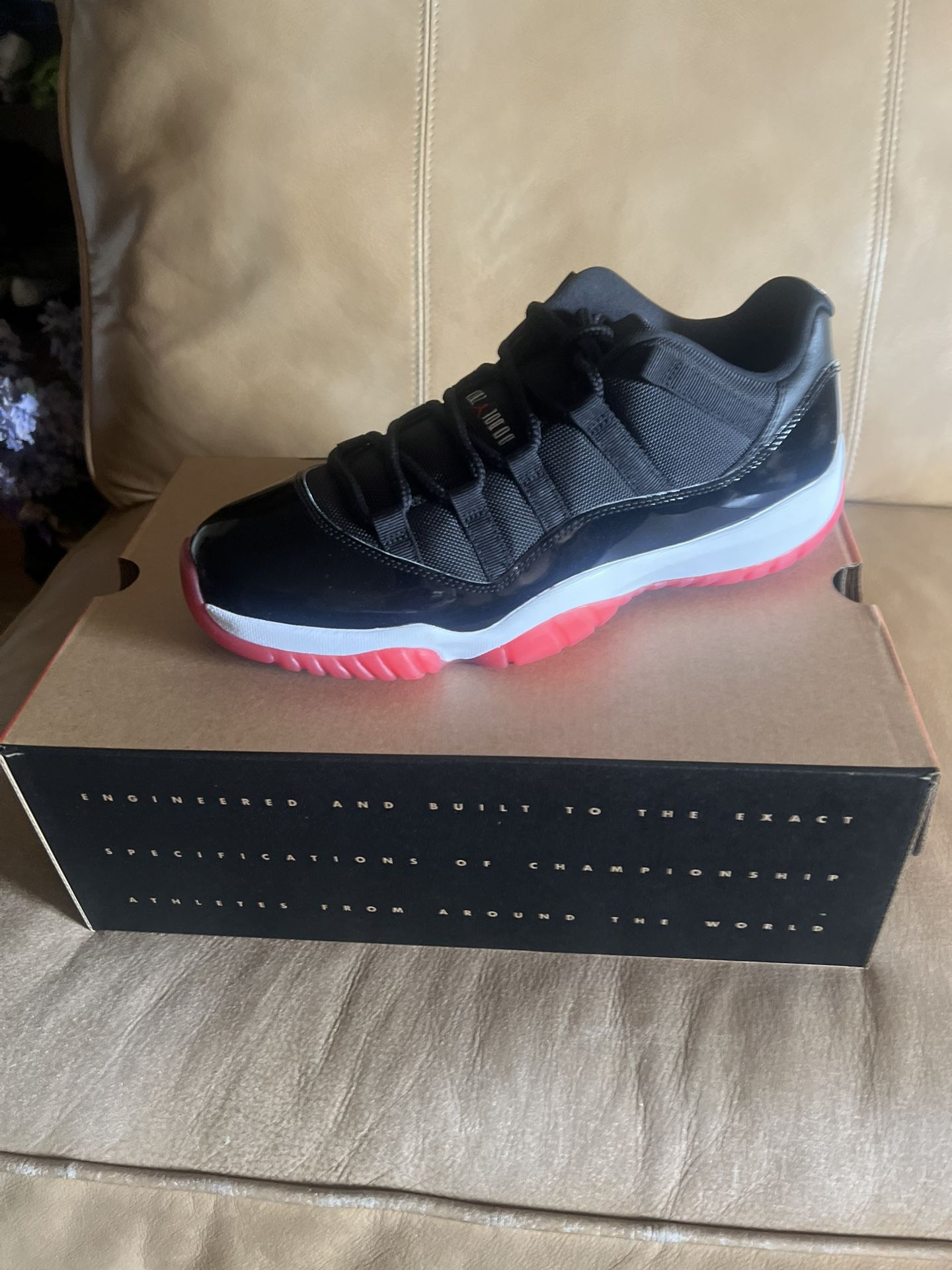 Jordan 11 Breads Lows