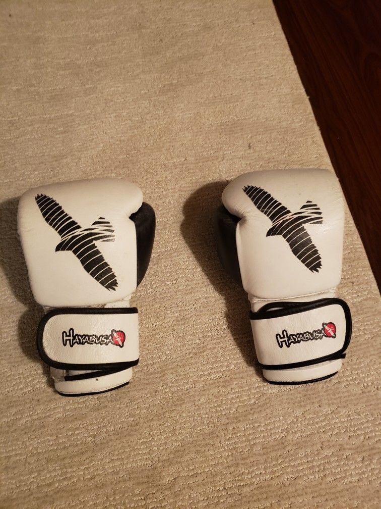 Hayabusa Boxing Gloves