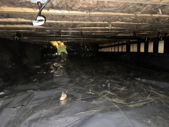 Crawlspace