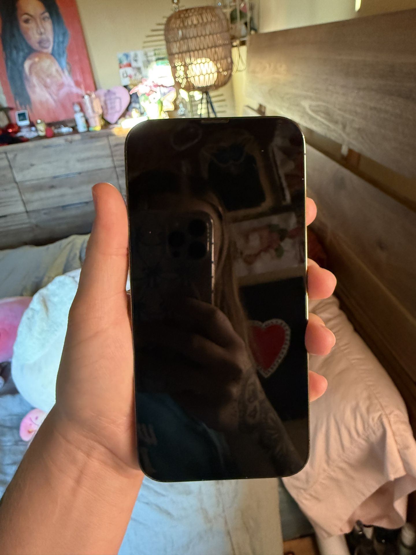 Mint Condition iPhone 13 Pro Max 256 GB
