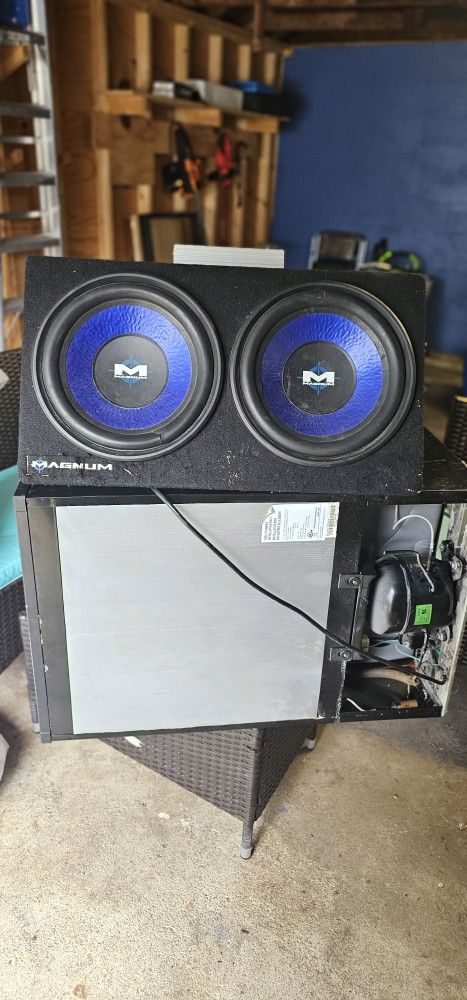 Magnum Sub With Amp