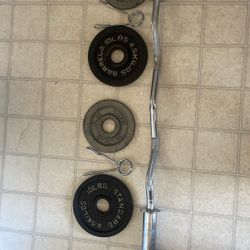 Curl Bar With Plates 
