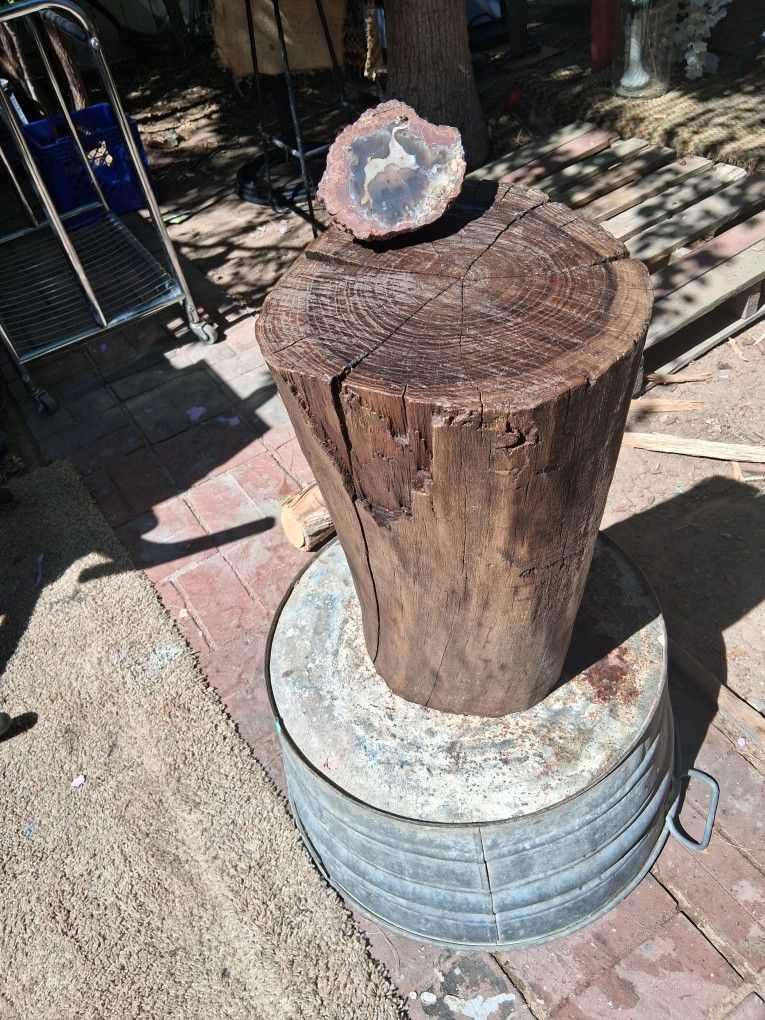 $100 Tree Stump End Table