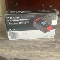 Pulse battery Repair Charger