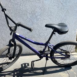 Schwinn Bike, Blue, 20in