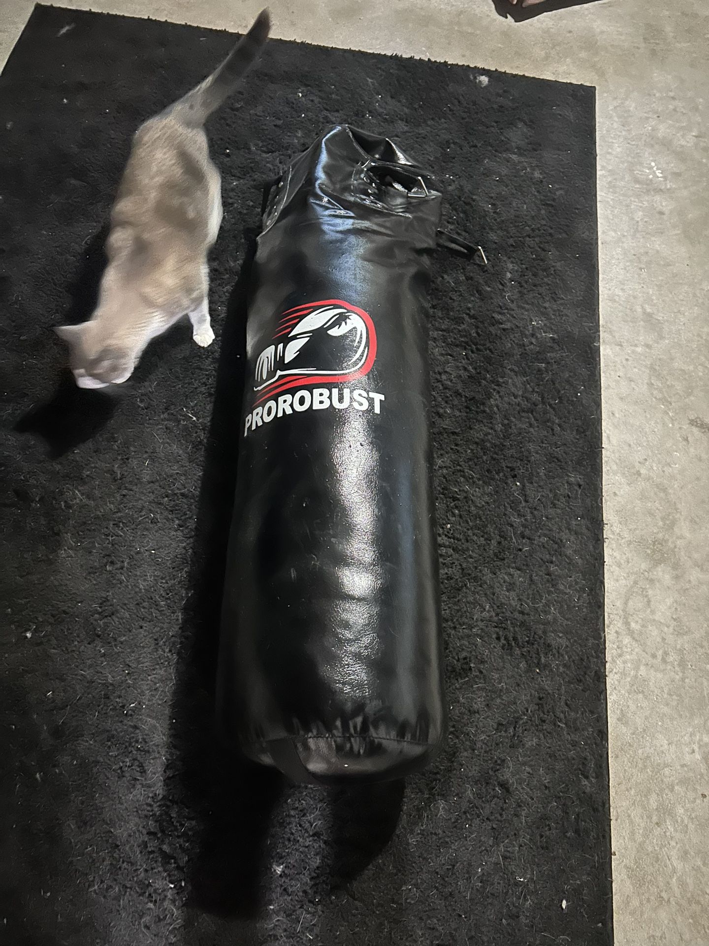 Punching Bag