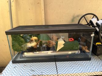 Tank and Supplies