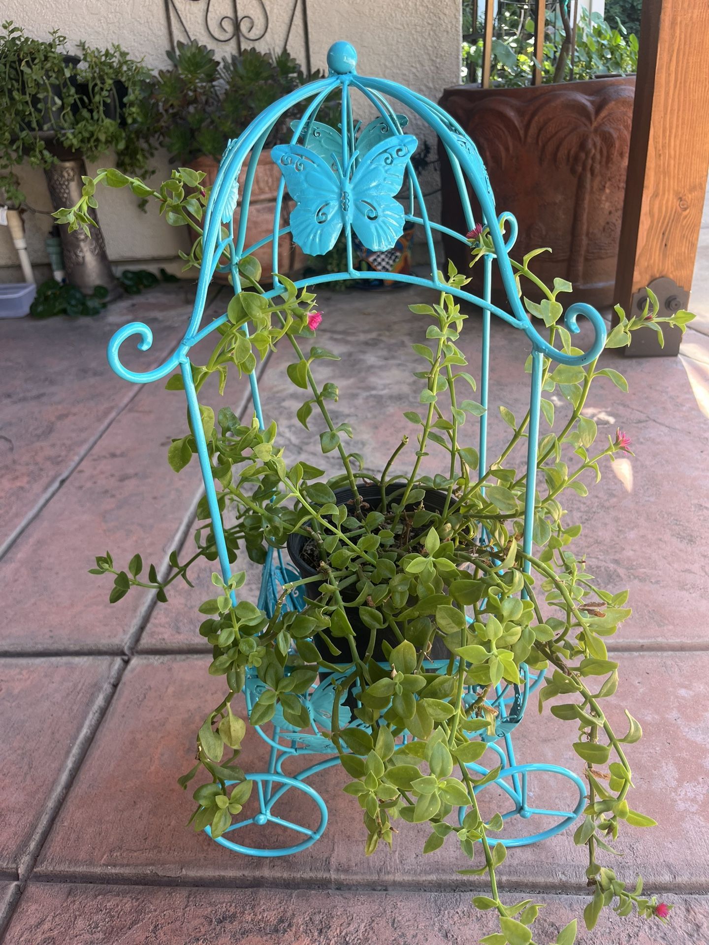 Decorative Plant Holder