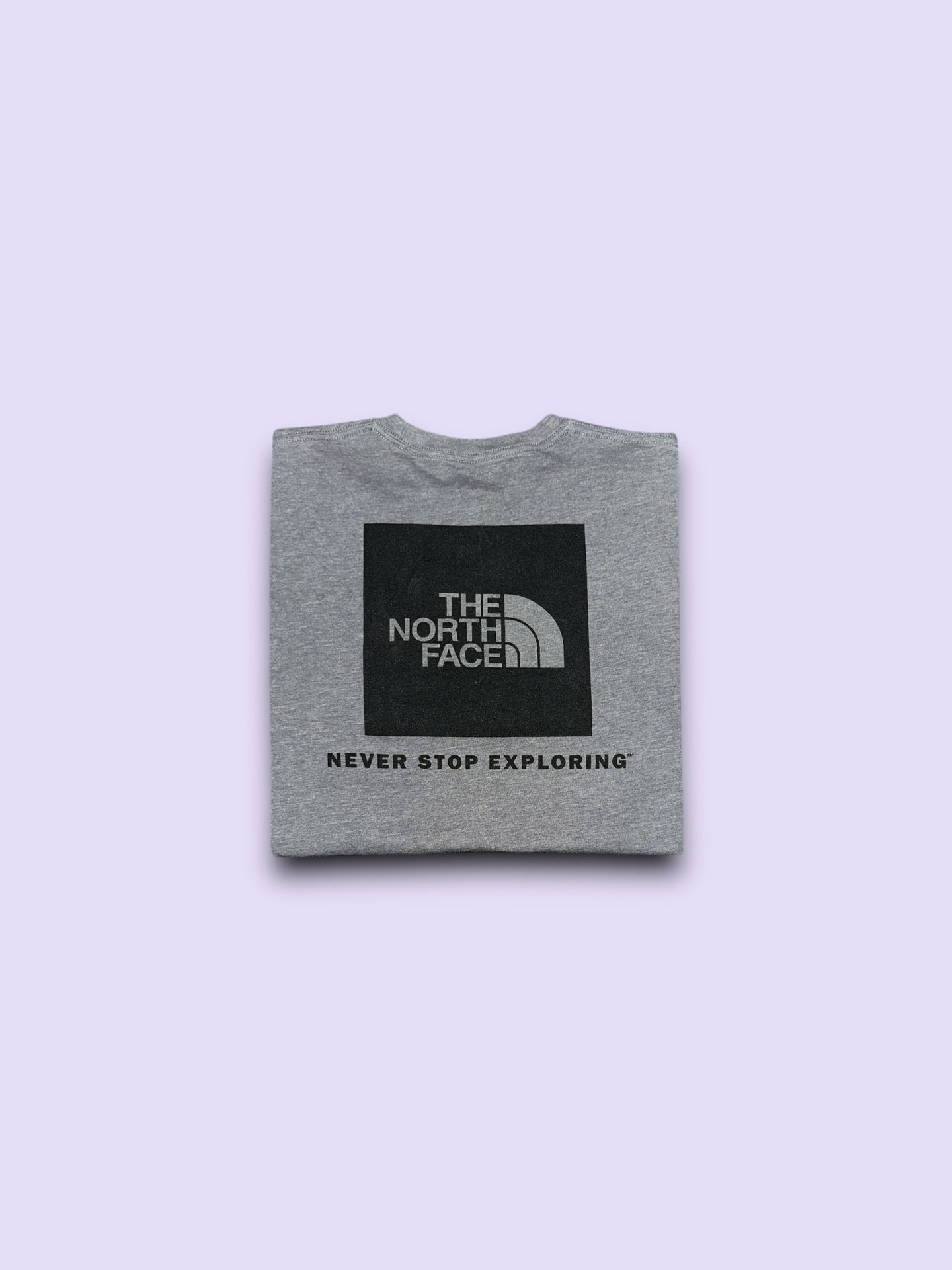 The North Face never stop exploring standard fit mullet style t-shirts